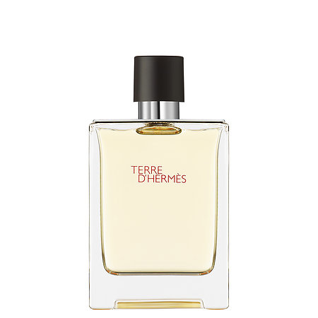Terre d'Hermes Hermes for men