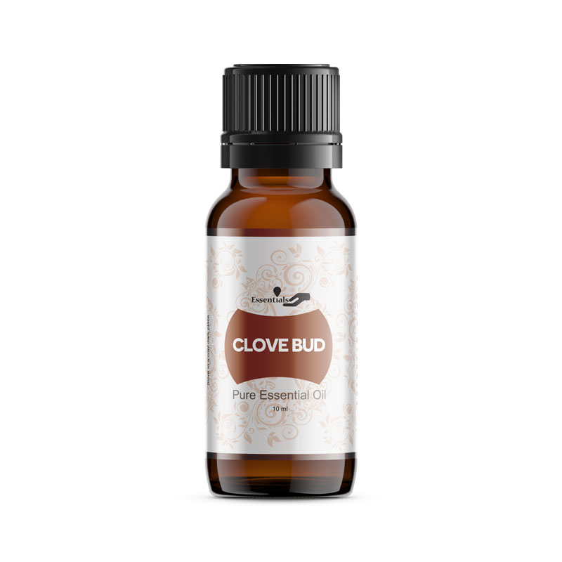 Clove Bud Essential by Jipambe