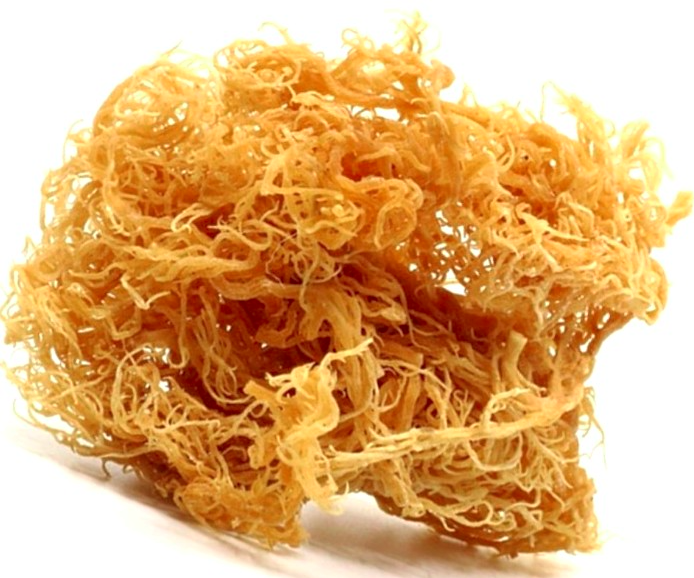 Organic Wildcrafted Sea Moss 100 grams (Can make up to 5 330ml jars of Sea Moss gel)