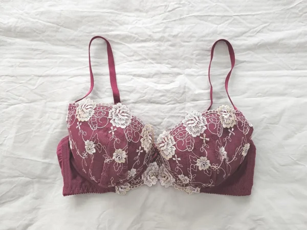 Elegant Burgundy Floral Lace Bra with Cream Embroidery